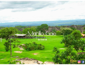 Fazenda à venda, 70 KM de Rondonopolis-MT